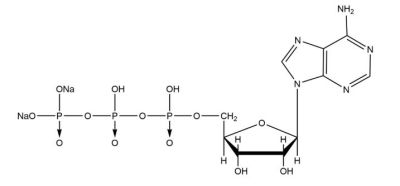 The role of Adenosine triphosphate (ATP) in medicine