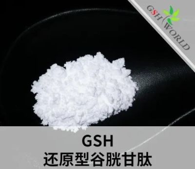Supplement Raw Material Gsh/L-Glutathione Reduced with USP/Ep Standard