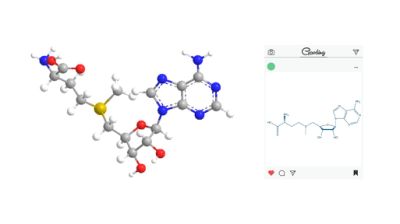 CAS 97540-22-2 S-Adenosyl-L-Methionine Bulk Powder