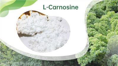 Carnosine Powder High Quality Factory Outlet