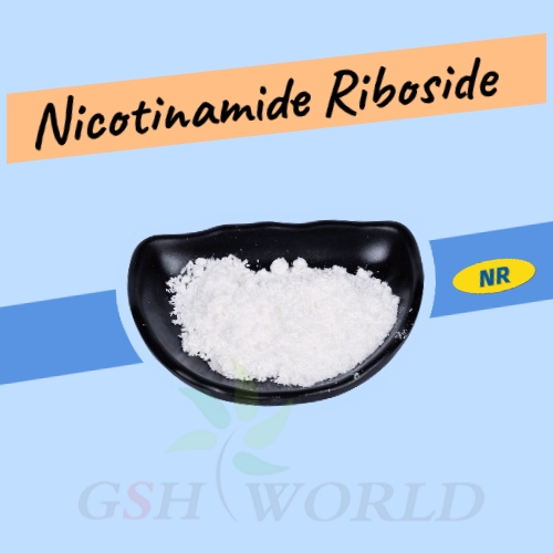 Nicotinamide Riboside or a New Whitening Ingredient?