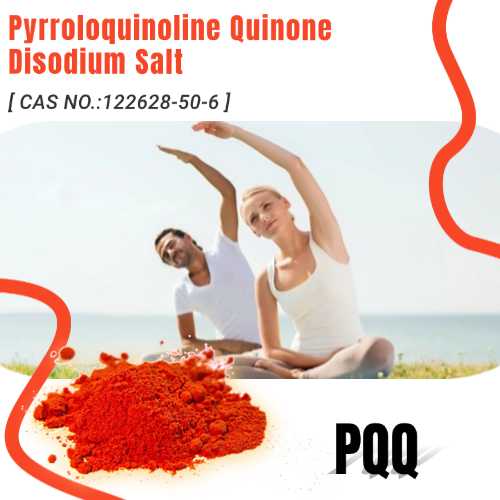 What are the uses of Pyrroloquinoline Quinone Disodium Salt PQQ supplement?