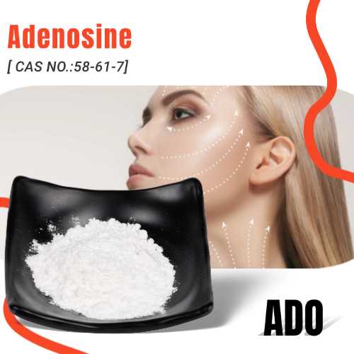 Does adenosine have the function of preventing hair loss?