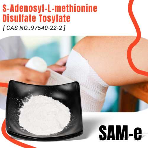 What is adenosylmethionine used for?