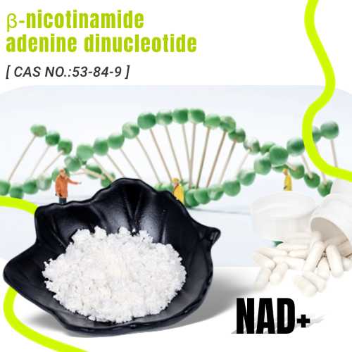 What does NAD+ do in the body? How do I get NAD+?