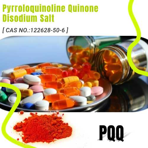 Questions and answers about Pyrroloquinoline Quinone (PQQ) Supplements