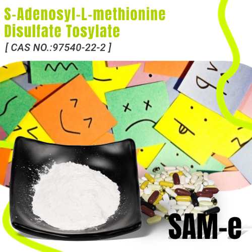 How to increase SAM-e naturally?