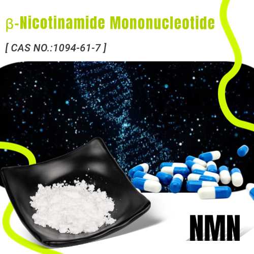 Does Nicotinamide Mononucleotide Have a Positive Effect on Health in Older Adults?