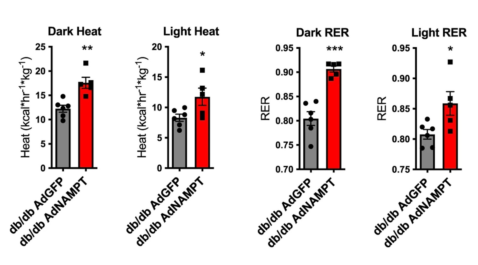 NAMPT induces fat tissue browning and thermogenesis in diabetic mice.