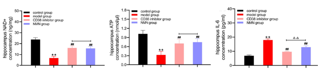 Energy Metabolism is Reinvigorated and Inflammation Subdued by NMN and CD38 Inhibition.