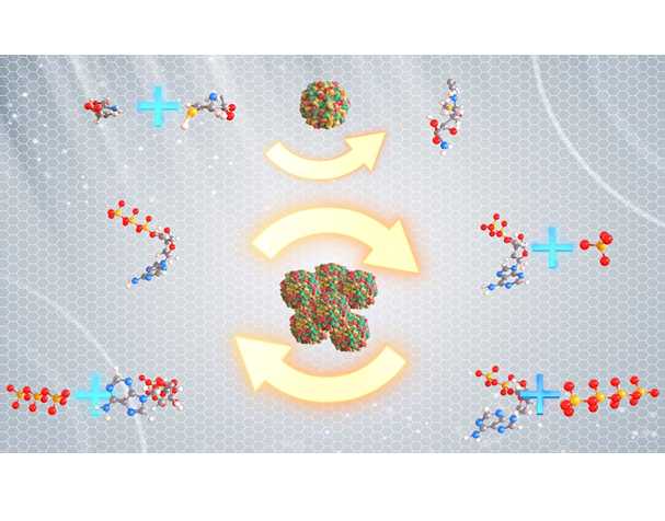 enzymatic synthesis coupled with ATP regeneration platform