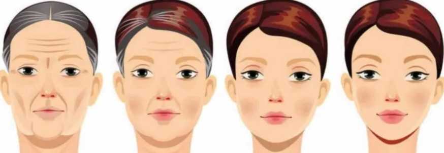 Anti-aging effects of PQQ