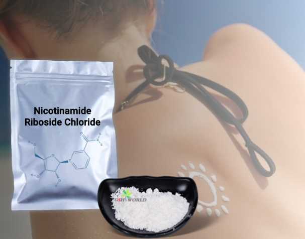 Nicotinamide riboside (NR): A safe and efficient new choice for whitening