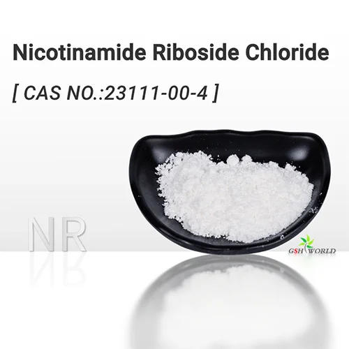 Bulk Nicotinamide Riboside Chloride NR Powder