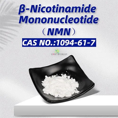 NMN Powder Bulk