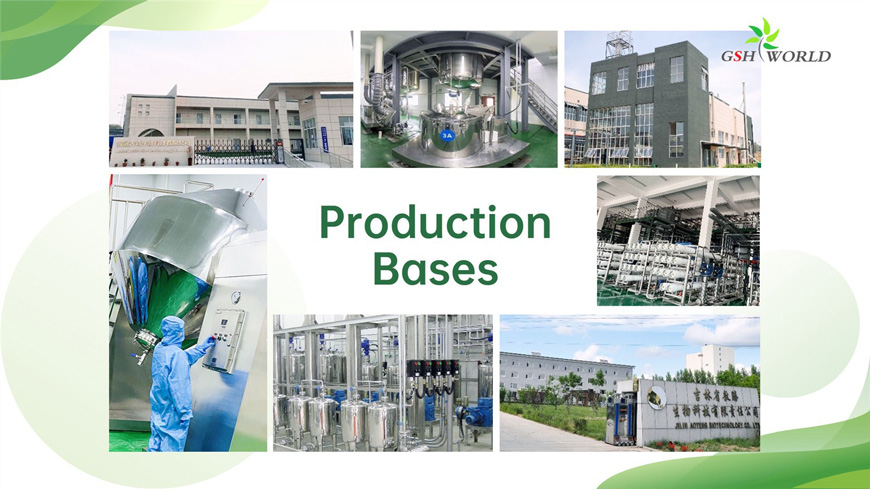 production bases