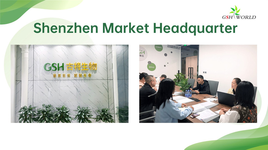 shenzhen market headguarter