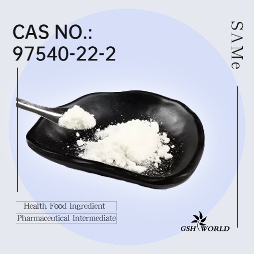 S-Adenosyl methionine