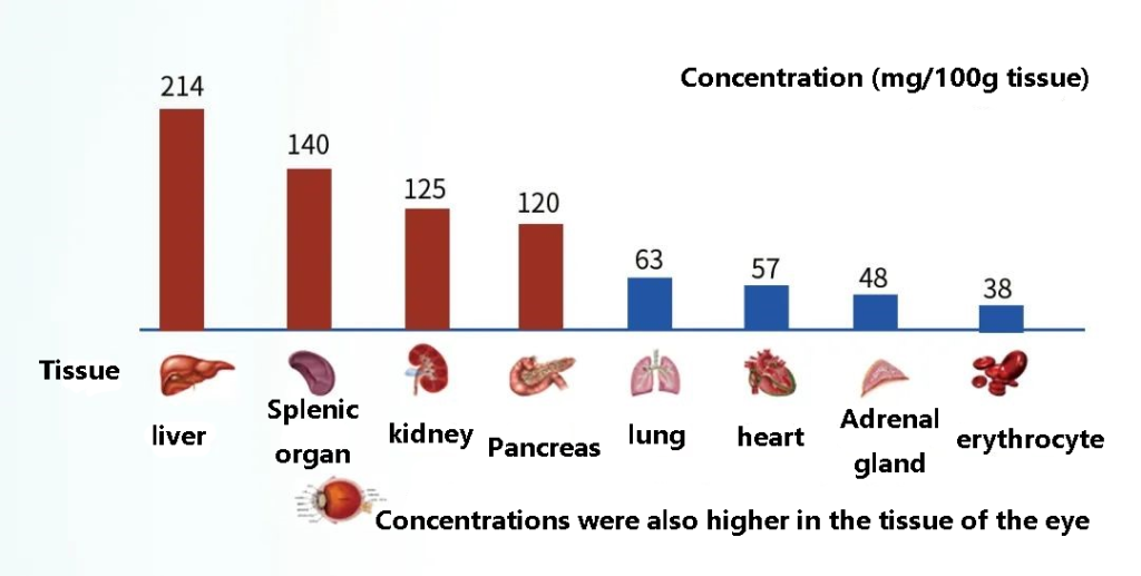 Glutathione content in the human body