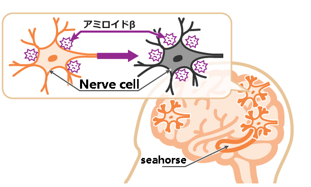 Nerve cell & seahorse