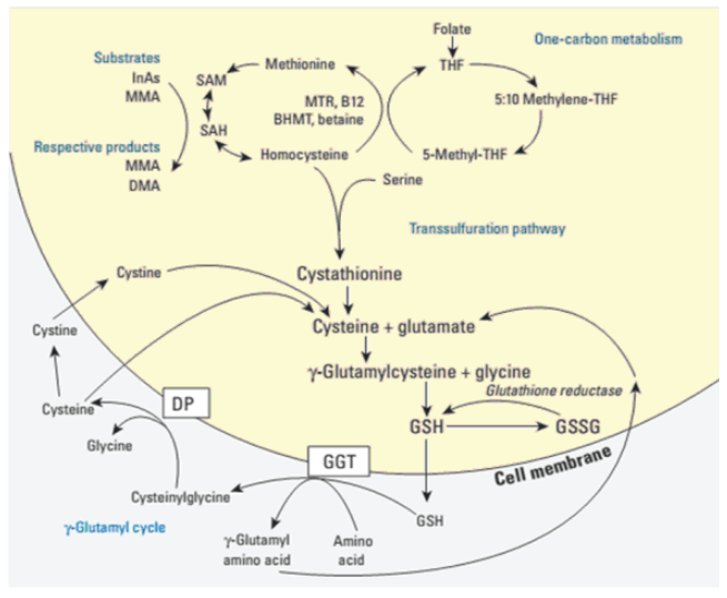 Will glutathione, a slightly flavorful whitening ingredient, be accepted?