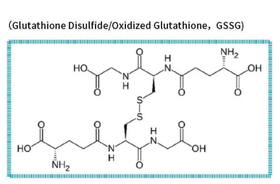 Oxidized glutathione and reduced glutathione things you didn know