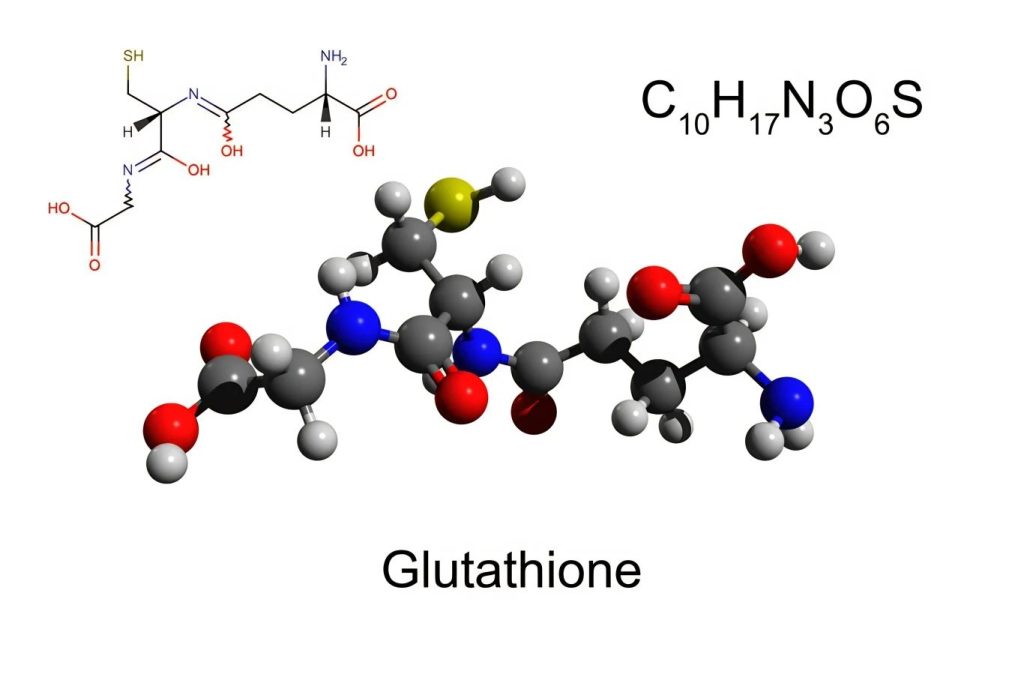 3D model of glutathione