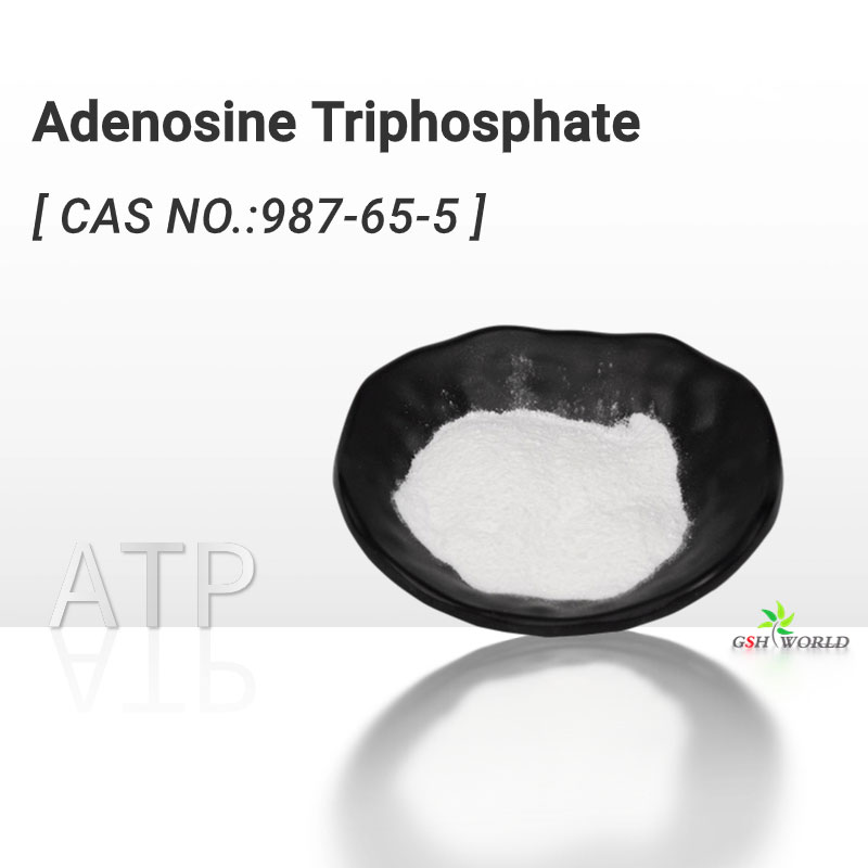 Bulk Adenosine disodium triphosphate Powder