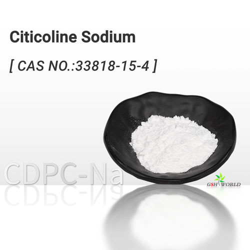 Bulk Citicoline Sodium Powder