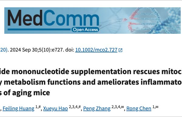 Nicotinamide mononucleotide supplementation rescues mitochondrial and energy metabolism functions and ameliorates inflammatory states in the ovaries of aging mice