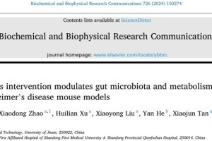 NMN synbiotics intervention modulates gut microbiota and metabolism in APP/PS1 Alzheimer's disease mouse models