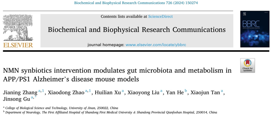 NMN synbiotics intervention modulates gut microbiota and metabolism in APP/PS1 Alzheimer's disease mouse models