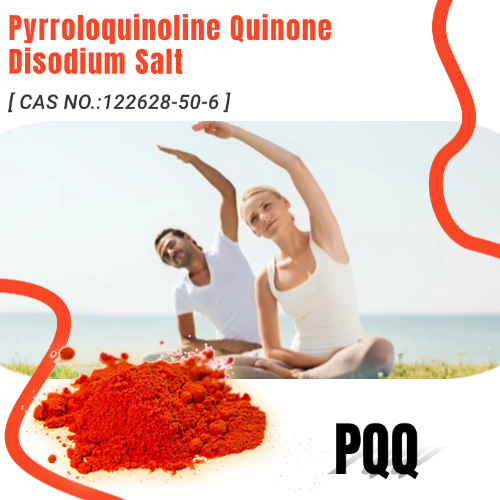 PQQ powder