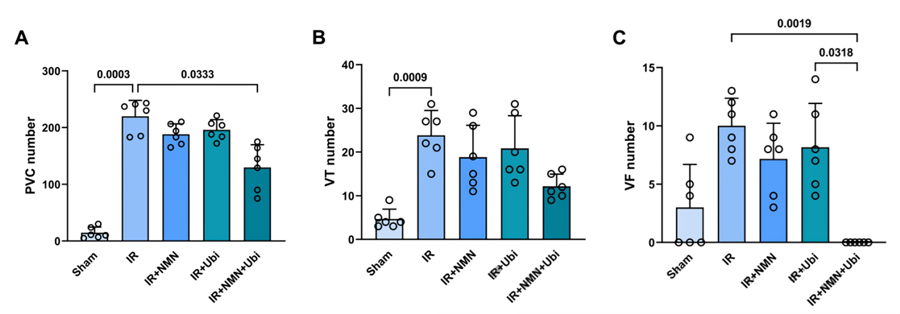 NMN and CoQ10 improve heart rate after attack