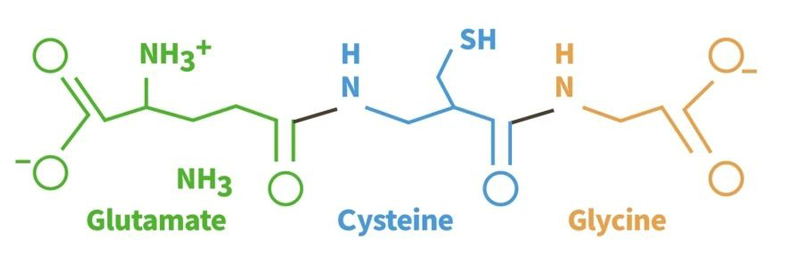 Can save liver damage glutathione, can anti-aging whitening really?