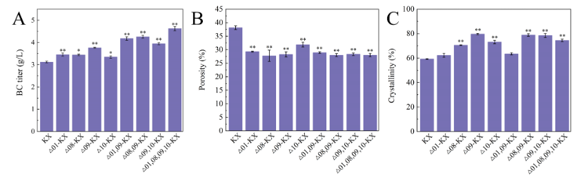 The combined knockout of GE01, GE08, GE09 and GE10 improved the biosynthesis of bacterial cellulose