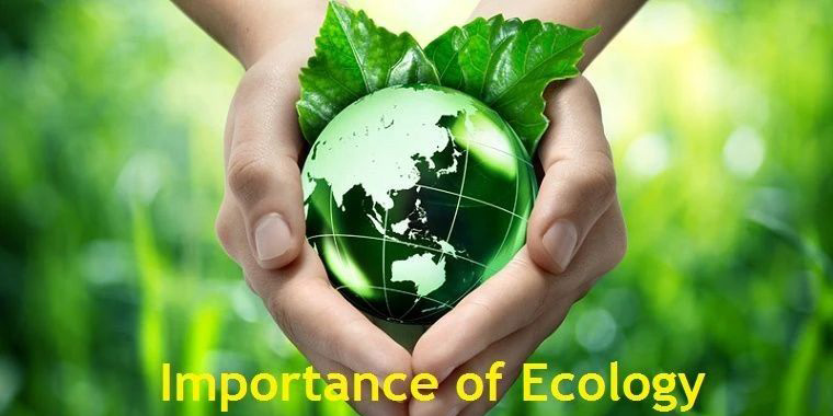 Importance of Ecology