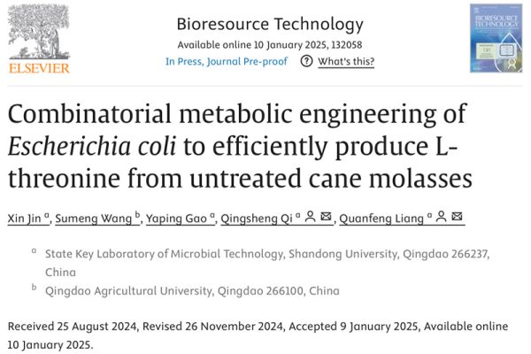 Combinatorial metabolic engineering of Escherichia coli to efficiently produce L-threonine from untreated cane molasses