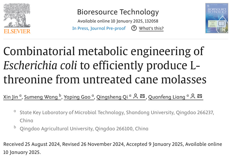 Combinatorial metabolic engineering of Escherichia coli to efficiently produce L-threonine from untreated cane molasses