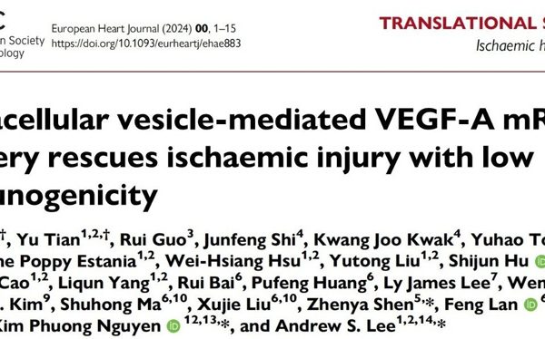 Extracellular vesicle-mediated VEGF-A mRNA delivery rescues ischaemic injury with low immunogenicity