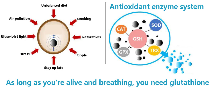 Can save liver damage glutathione, can anti-aging whitening really?