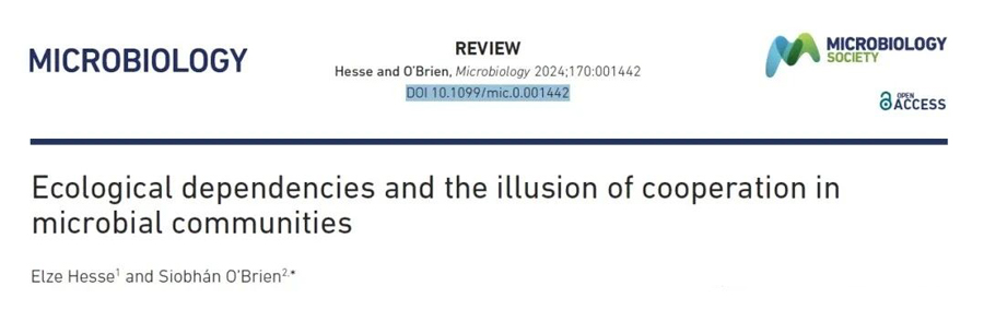 Black Queen hypothesis is disconnected from microbes