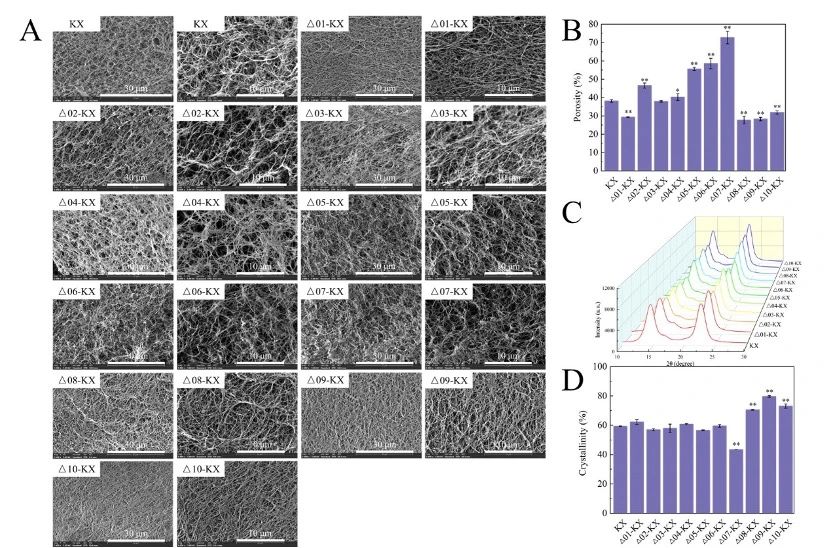 Effect of GGDEF-EAL series domain protein on BC structure