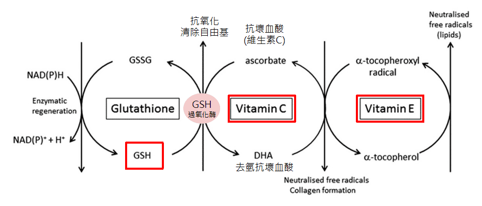 Can save liver damage glutathione, can anti-aging whitening really?