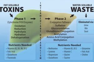 Glutathione that can save liver damage