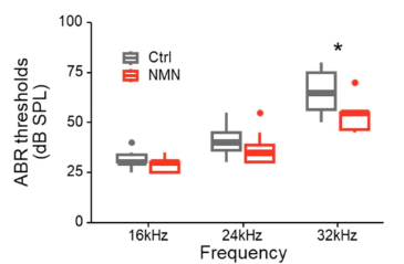 Older mice given NMN (red) required lower sound intensity to stimulate brain electrical activity at 32 Hz frequency (ABR threshold) compared to older mice given water only (gray) (* indicates statistical difference), which indicates NMN at higher frequencies of sound.