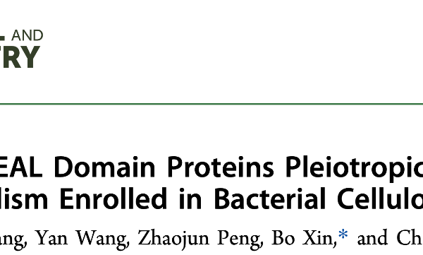 Tandem GGDEF-EAL Domain Proteins Pleiotropically Modulatec-di-GMP Metabolism Enrolled in Bacterial Cellulose Biosynthesis