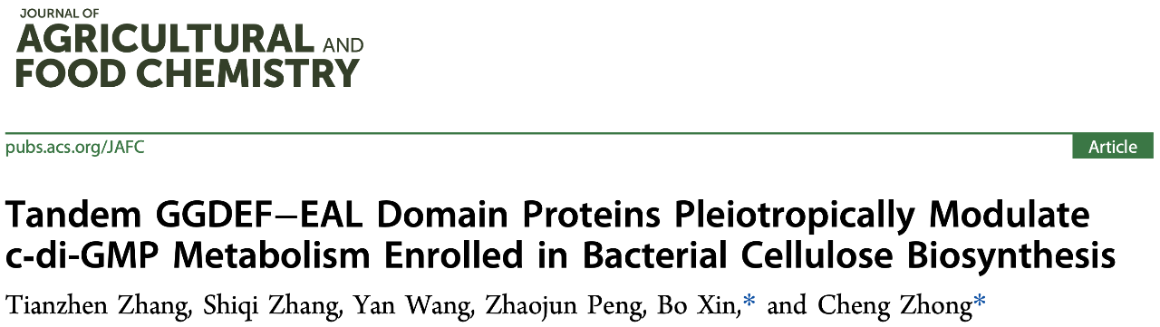 Tandem GGDEF-EAL Domain Proteins Pleiotropically Modulatec-di-GMP Metabolism Enrolled in Bacterial Cellulose Biosynthesis