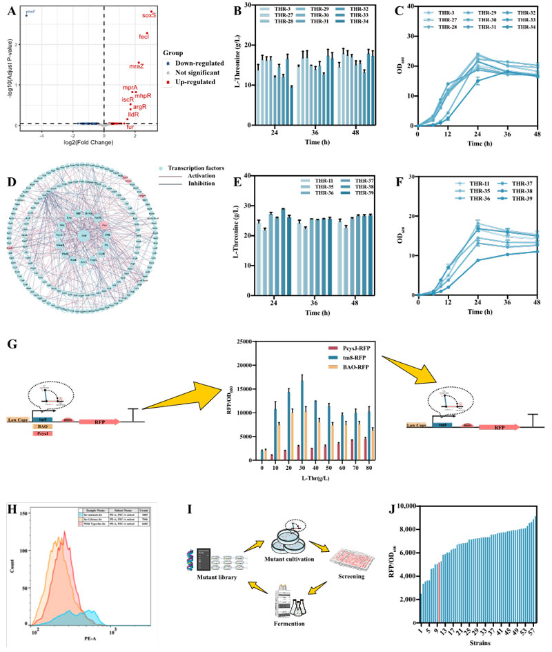 Global Transcription Mechanical Engineering (gTME) process