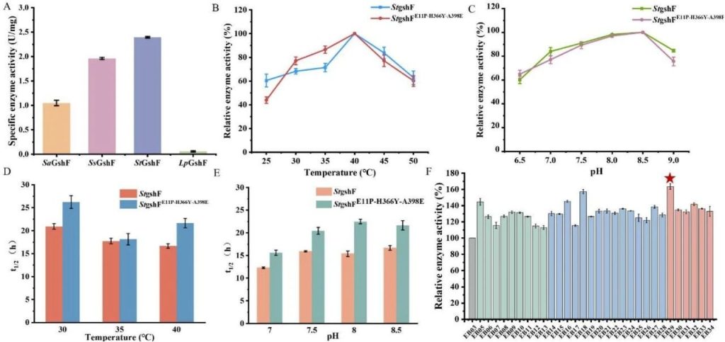 Fig. 1: Screening and enzymatic properties of GshF enzymes